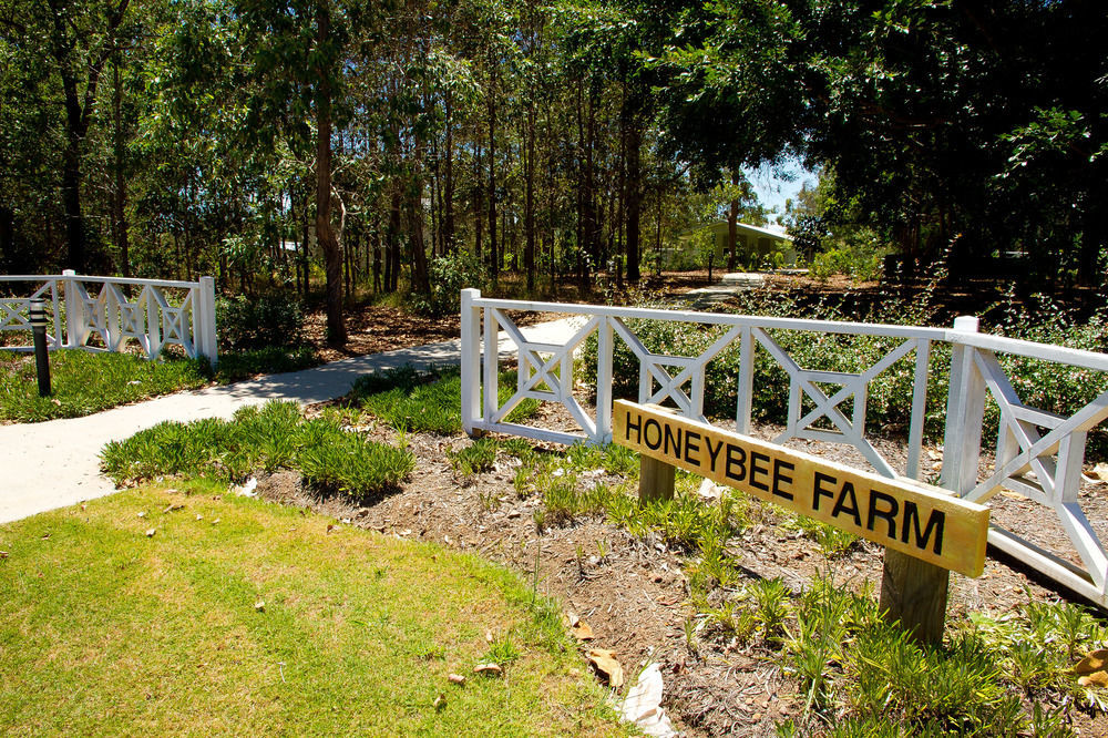 Honeybee Wellness Resort Kandanga Eksteriør bilde